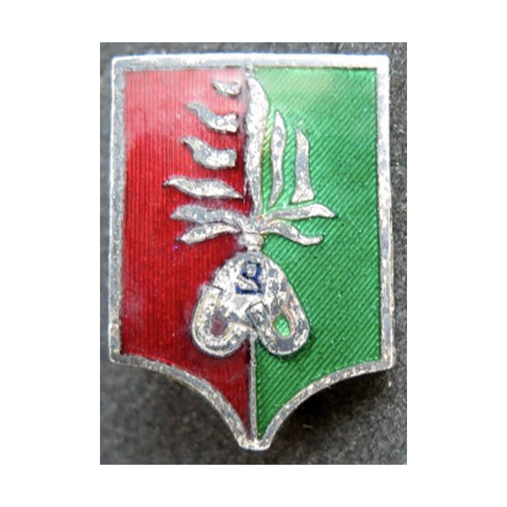 2° REI : compagnie montée du 2° régiment étranger d'infanterie 