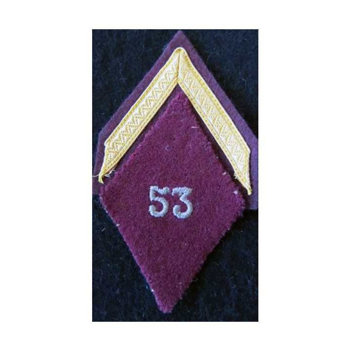 LOSANGE DE BRAS MODÈLE 45 : sergent appelé (PDL) du 53° bataillon médical de Fribourg Service de santé des armées