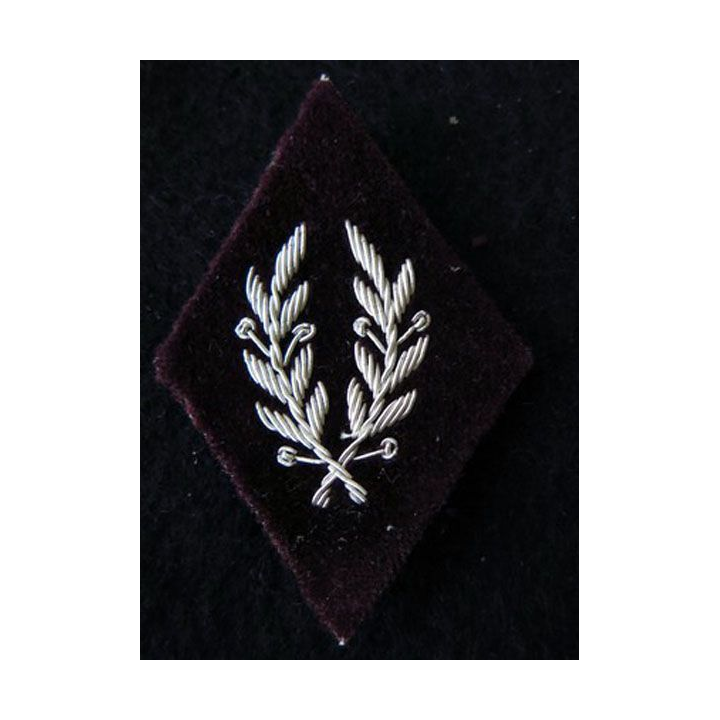 LOSANGE DE BRAS MODÈLE 45 : Médecin vétérinaire biologiste du Service de santé des armées fond velours en cannetille