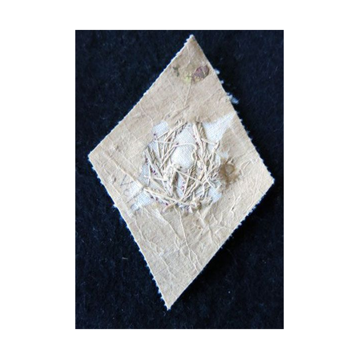 LOSANGE DE BRAS MODÈLE 45 : médecin vétérinaire du Service de santé des armées fond velours cannetille