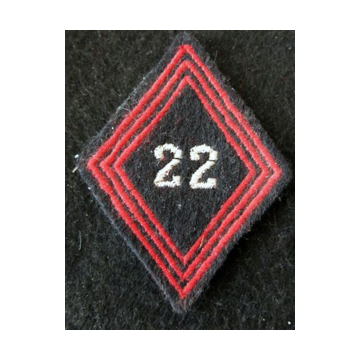 LOSANGE DE BRAS MODÈLE 45 :  22° Groupe vétérinaire, modèle sous officiers du service santé militaire AFN