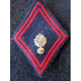 LOSANGE DE BRAS MODÈLE 45 : Centre instruction vétérinaire biologiste sous officier du SSA avant 1978 cannetille