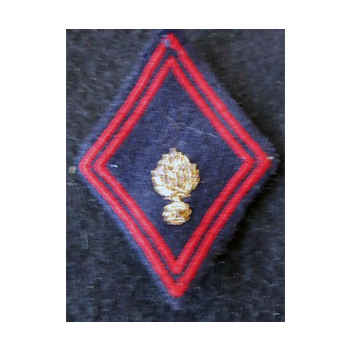 LOSANGE DE BRAS MODÈLE 45 : Centre instruction vétérinaire biologiste sous officier du SSA avant 1978 cannetille