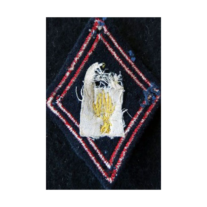 LOSANGE DE BRAS MODÈLE 45 : Centre instruction vétérinaire biologiste sous officier du SSA avant 1978 cannetille