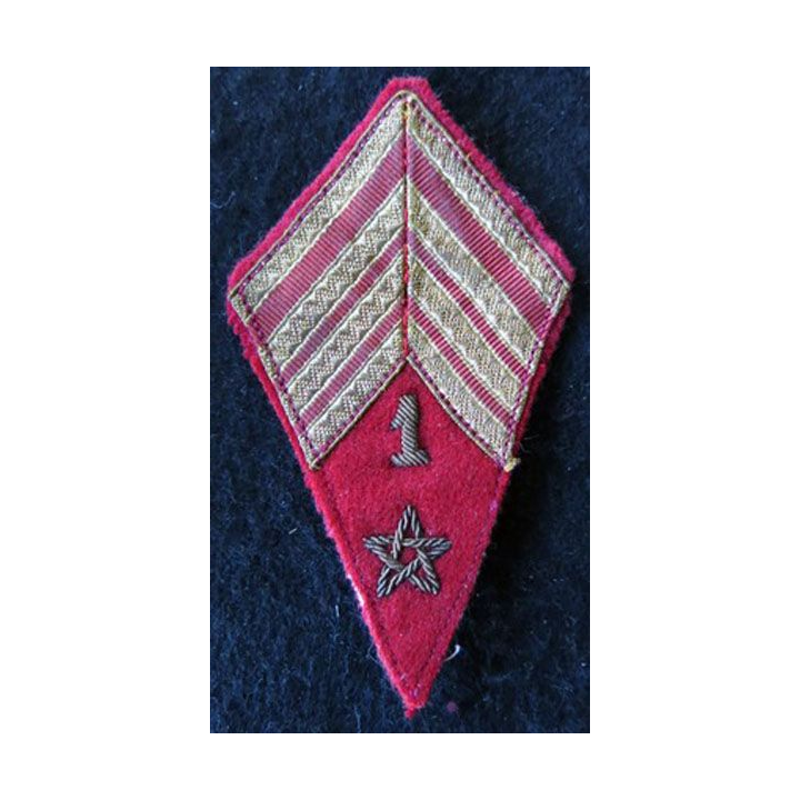 LOSANGE DE BRAS MODÈLE 45 :  sergent major 1/RACM régiment artillerie colonial du Maroc modèle précurseur période Indochine