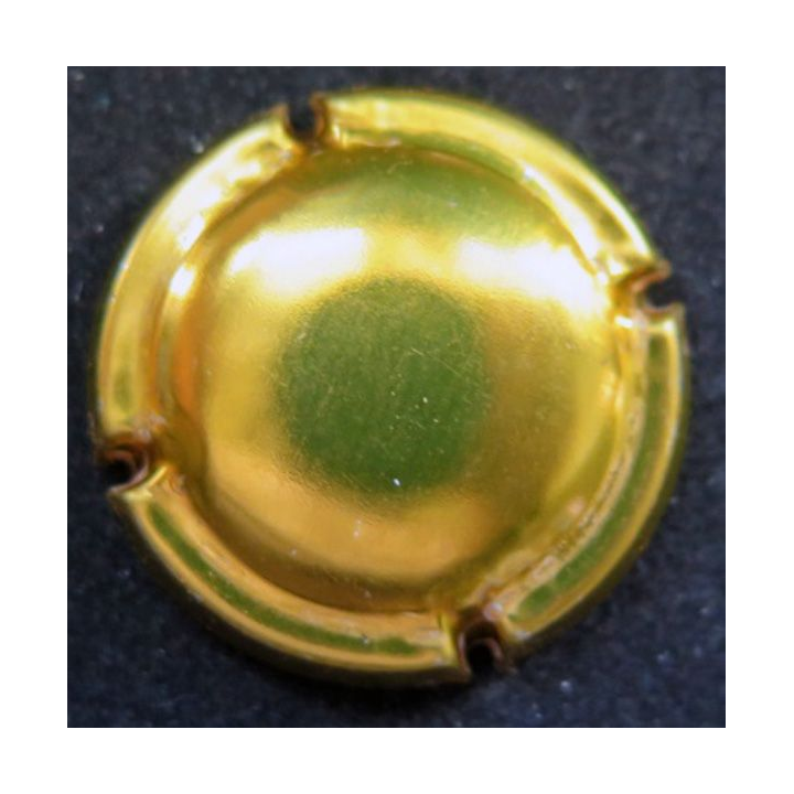Capsule Muselet de bouteille de champagne dorée