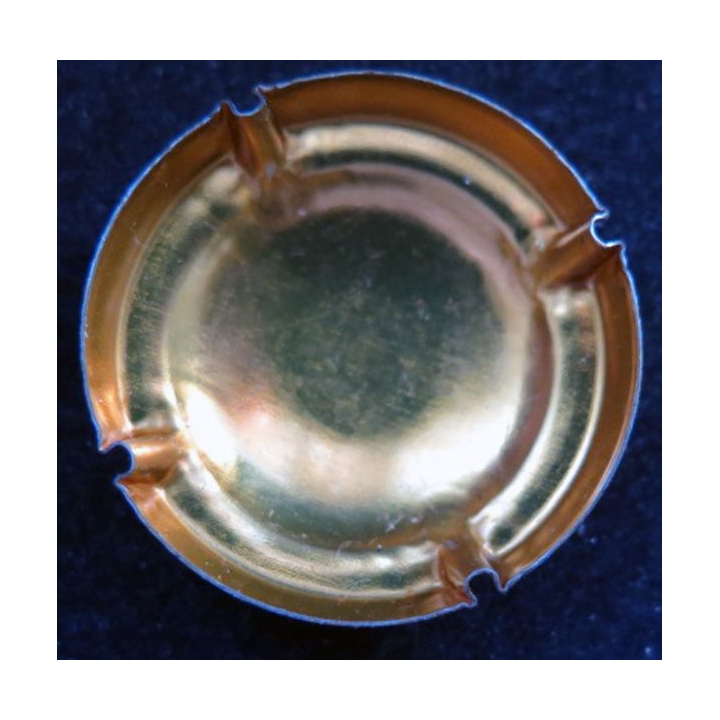 Capsule Muselet de bouteille de champagne dorée
