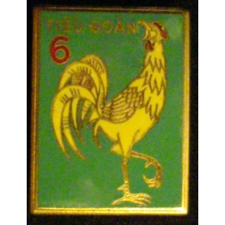 VIETNAM  : 6°TD TIEU DOAN BATAILLON D'INFANTERIE 6 A GAUCHE EMAIL ATTACHE NON CONFORME COLLÉE