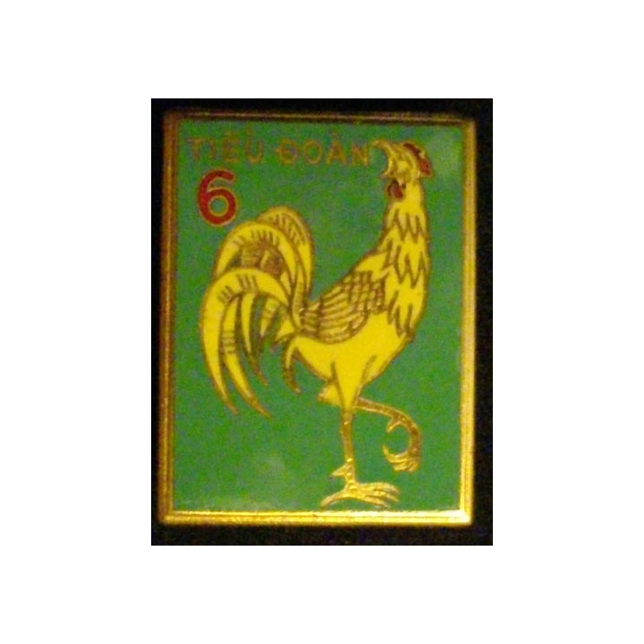 VIETNAM  : 6°TD TIEU DOAN BATAILLON D'INFANTERIE 6 A GAUCHE EMAIL ATTACHE NON CONFORME COLLÉE
