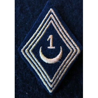 LOSANGE DE BRAS MODÈLE 45 :  modèle troupe 1° régiment de spahis algériens AFN