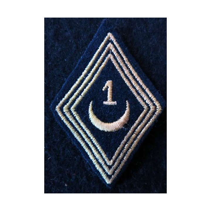 LOSANGE DE BRAS MODÈLE 45 :  modèle troupe 1° régiment de spahis algériens AFN