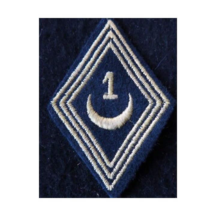 LOSANGE DE BRAS MODÈLE 45 :  modèle troupe 1° régiment de spahis algériens AFN