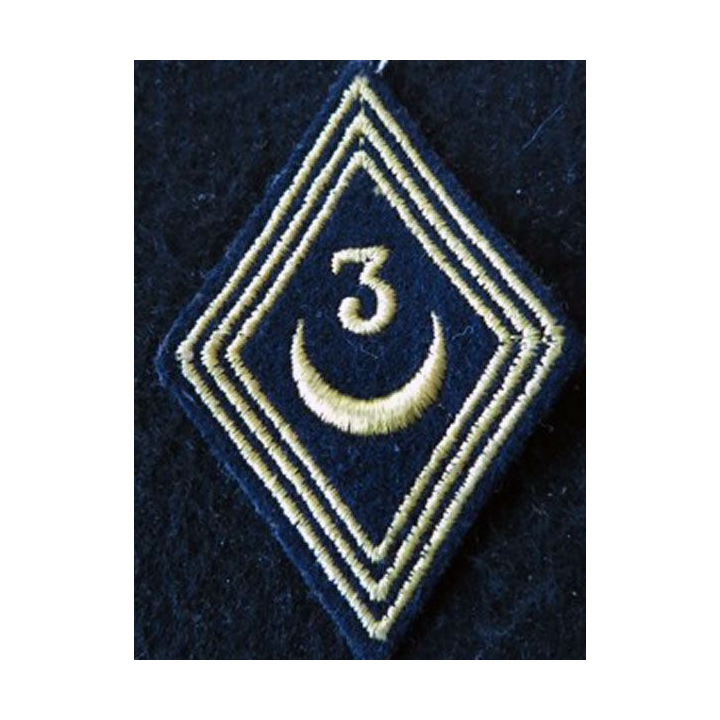 LOSANGE DE BRAS MODÈLE 45 :  modèle troupe 3° régiment de spahis algériens FFA avant 1964