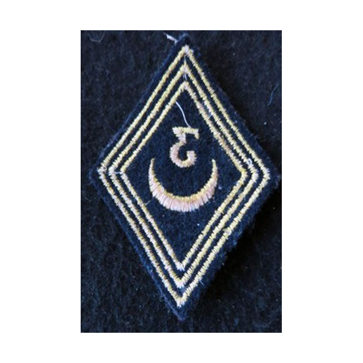 LOSANGE DE BRAS MODÈLE 45 :  modèle troupe 3° régiment de spahis algériens FFA avant 1964