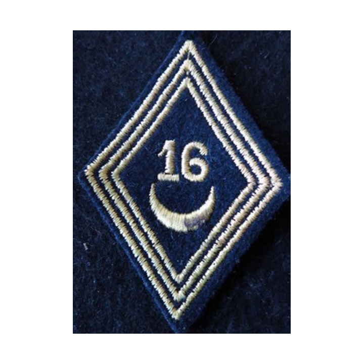 LOSANGE DE BRAS MODÈLE 45 :  modèle troupe 16° régiment de spahis tunisiens