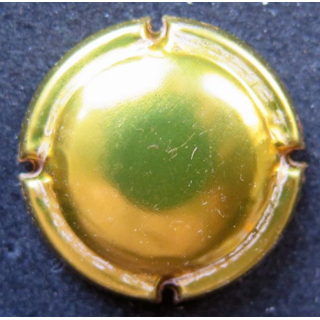 Capsule Muselet de bouteille de champagne dorée