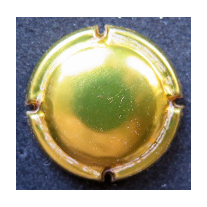 Capsule Muselet de bouteille de champagne dorée