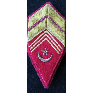 LOSANGE DE BRAS MODÈLE 45 : modèle précoce de brigadier des affaires Sahariennes