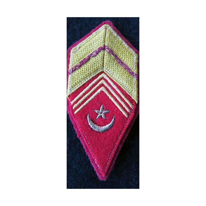 LOSANGE DE BRAS MODÈLE 45 : modèle précoce de brigadier des affaires Sahariennes