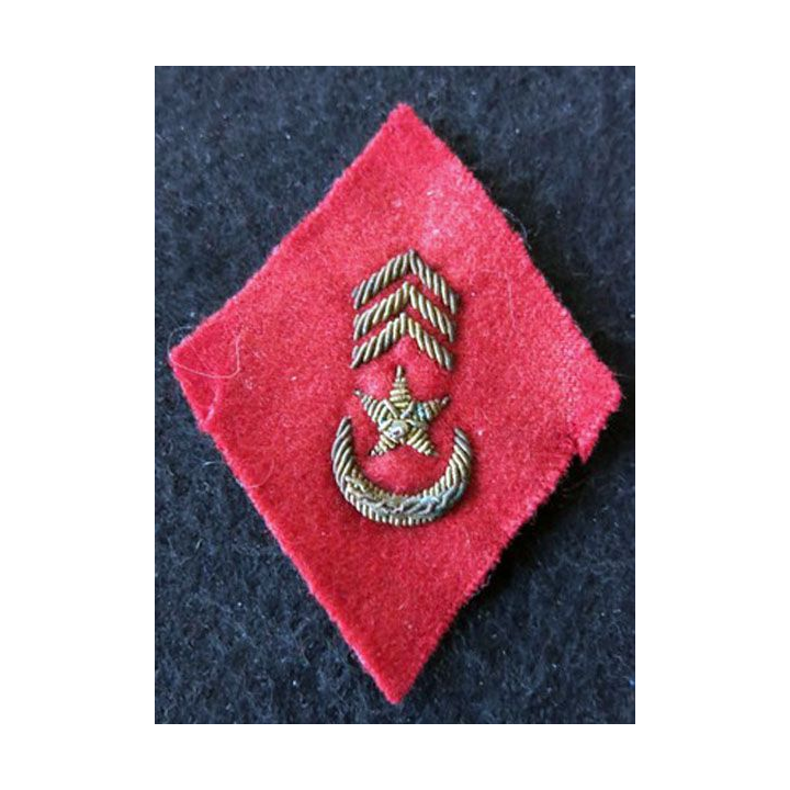 LOSANGE DE BRAS MODÈLE 45 : modèle pour officiers des affaires Sahariennes en cannetille