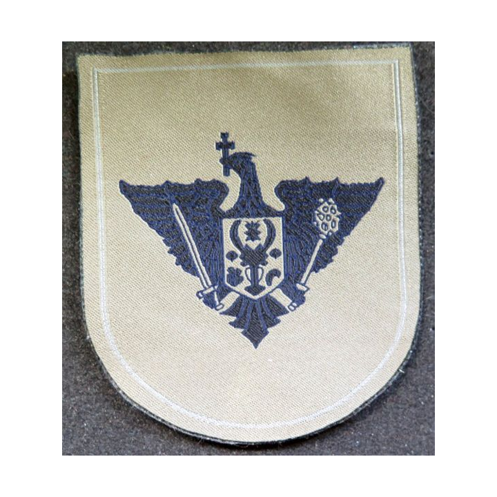 insigne tissu des forces de l'armée de terre moldave 8,5 x 7 cm