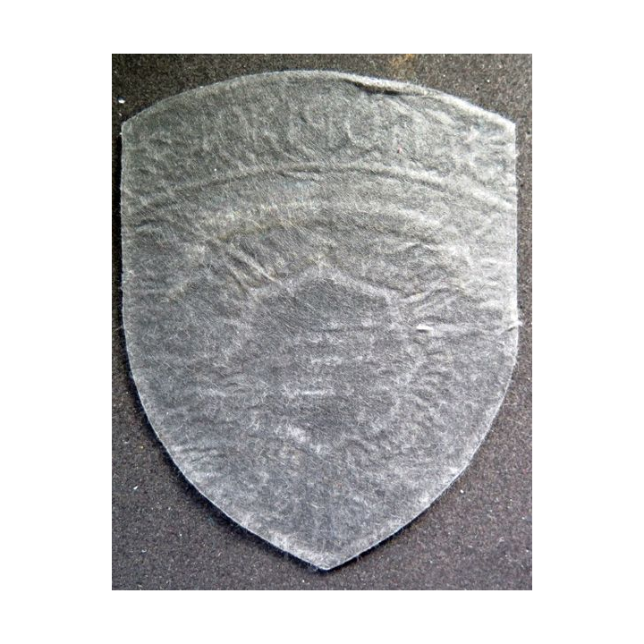 insigne tissu des forces de sécurité routières ukrainienne  9 x 12 cm doré