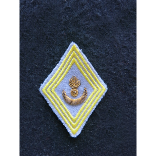 LOSANGE DE BRAS MODÈLE 45 : modèle officiers tirailleurs algériens hors unités ou état major cannetille