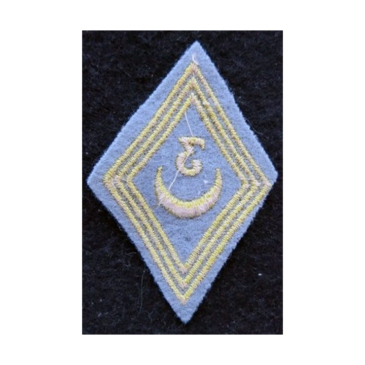 LOSANGE DE BRAS MODÈLE 45 : modèle troupe 3° régiment de tirailleurs algériens AFN
