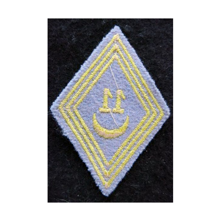 LOSANGE DE BRAS MODÈLE 45 : modèle troupe 11° régiment de tirailleurs algériens AFN 1954