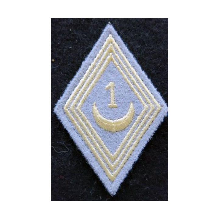 LOSANGE DE BRAS MODÈLE 45 : modèle troupe 1° régiment de tirailleurs actuel