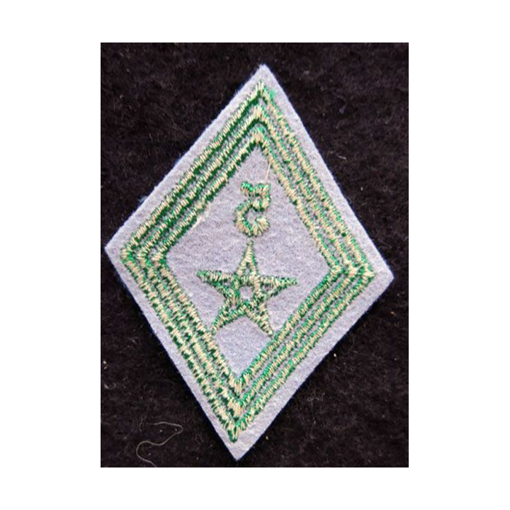 LOSANGE DE BRAS MODÈLE 45 : modèle troupe du 5° régiment de tirailleurs marocains 1955 AFN