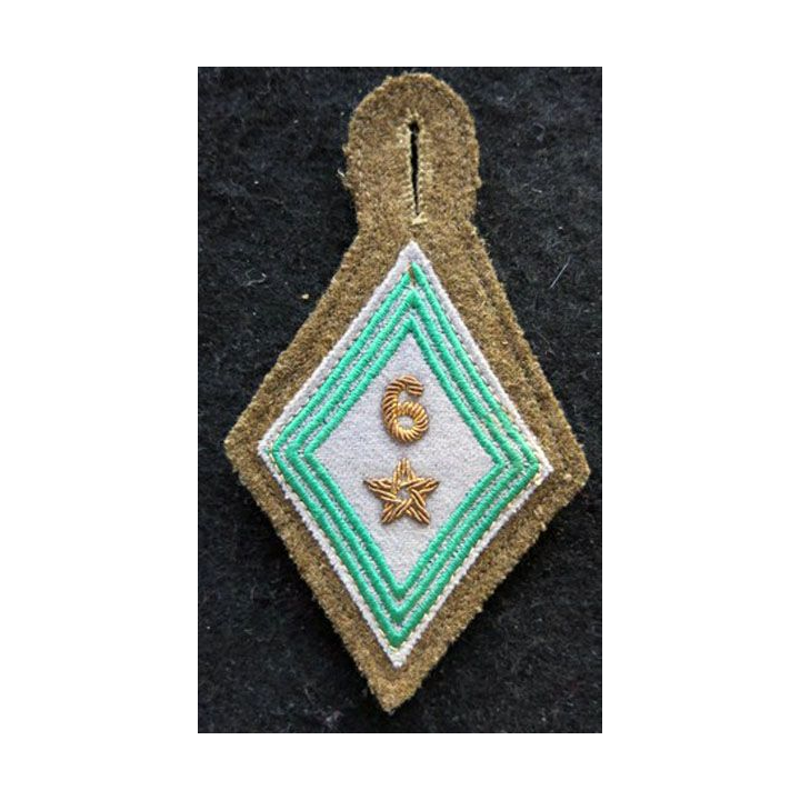 LOSANGE DE BRAS MODÈLE 45 : modèle cadre 2° bataillon de marche du 6° régiment de tirailleurs marocains cannetille INDO