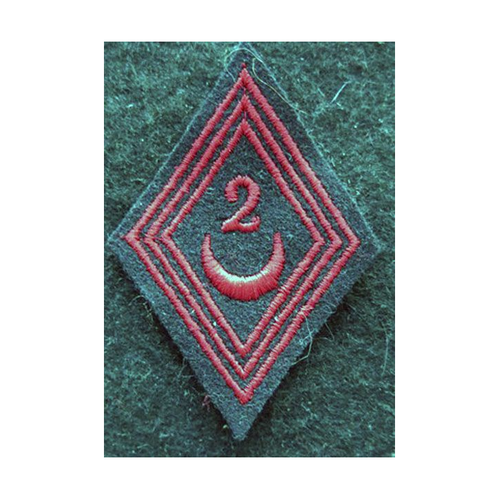 LOSANGE DE BRAS MODÈLE 45 : modèle troupe 2° régiment de Zouaves 1950 AFN