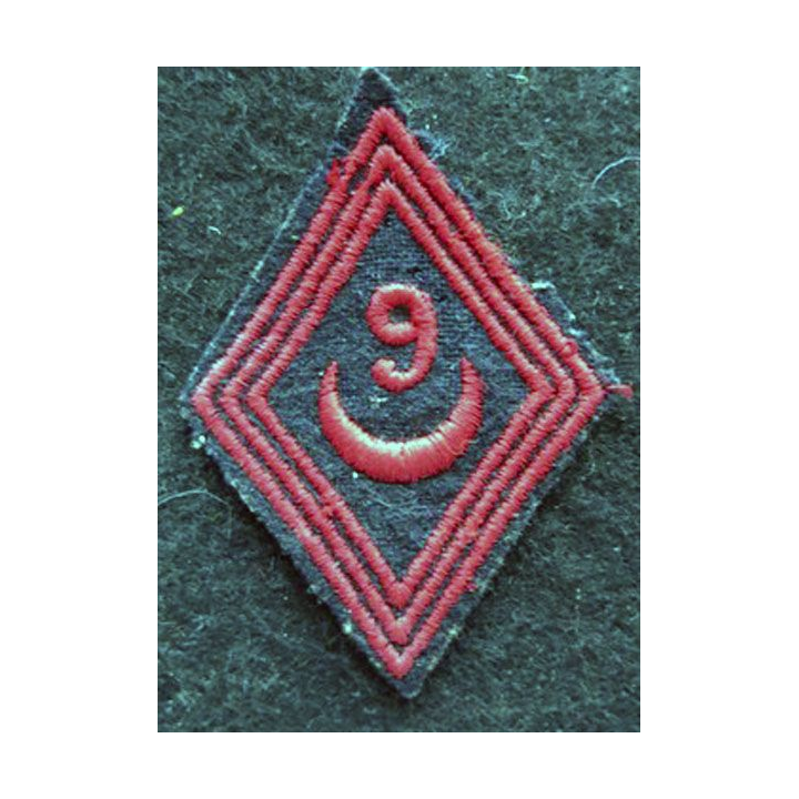 LOSANGE DE BRAS MODÈLE 45 : modèle troupe 9° régiment de Zouaves 19454 AFN