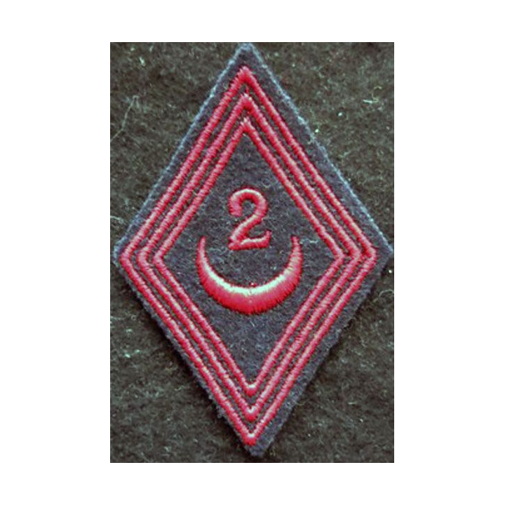 LOSANGE DE BRAS MODÈLE 45 : modèle troupe 2° régiment de Zouaves 1950 AFN