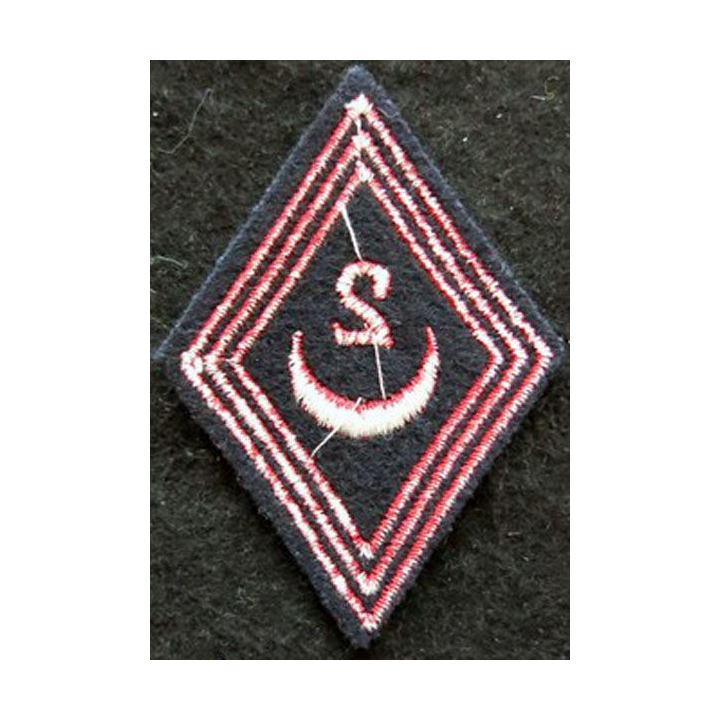 LOSANGE DE BRAS MODÈLE 45 : modèle troupe 2° régiment de Zouaves 1950 AFN