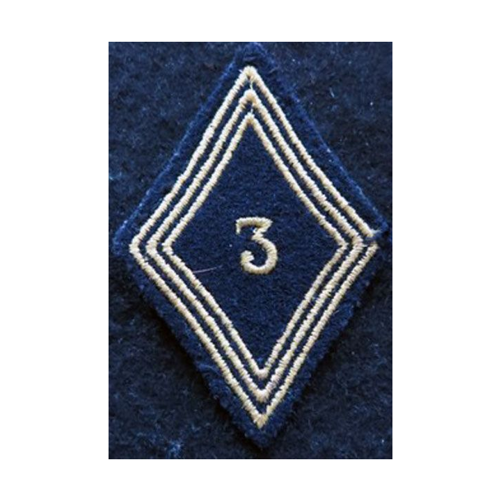 LOSANGE DE BRAS MODÈLE 45 : modèle  troupe 3° régiment de chasseurs d'Afrique 1952 AFN