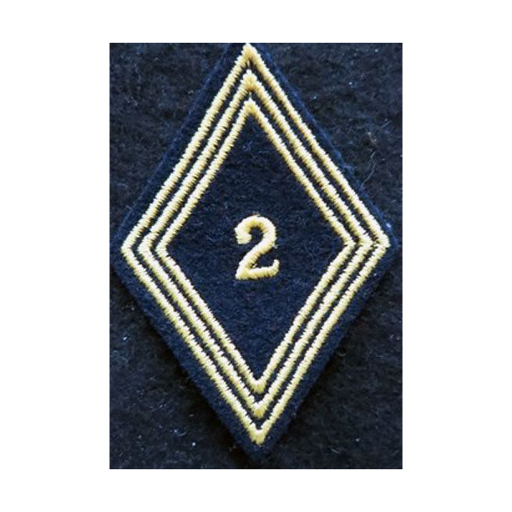 LOSANGE DE BRAS MODÈLE 45 : modèle troupe 2° régiment de chasseurs d'Afrique 1954 AFN
