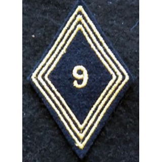 LOSANGE DE BRAS MODÈLE 45 : modèle troupe 9° régiment de chasseurs d'Afrique 1954 AFN
