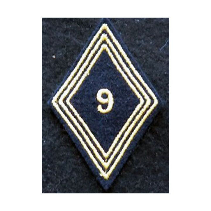 LOSANGE DE BRAS MODÈLE 45 : modèle troupe 9° régiment de chasseurs d'Afrique 1954 AFN