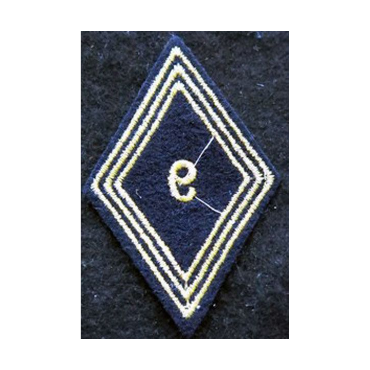LOSANGE DE BRAS MODÈLE 45 : modèle troupe 9° régiment de chasseurs d'Afrique 1954 AFN