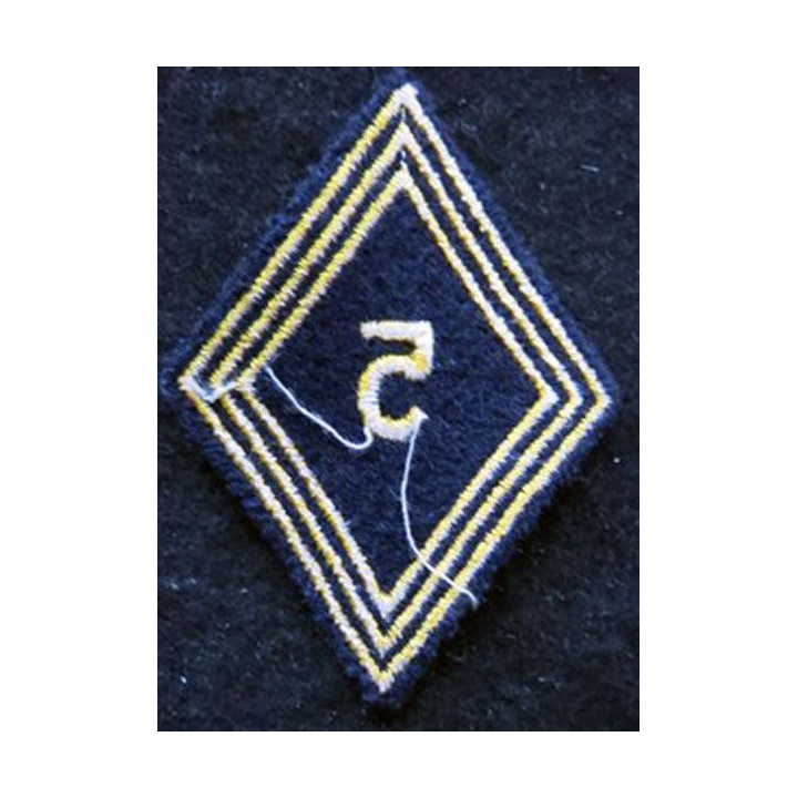 LOSANGE DE BRAS MODÈLE 45 : modèle troupe 5° régiment de chasseurs d'Afrique 1955 AFN