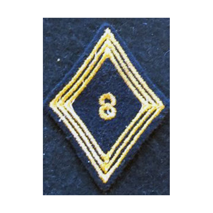 LOSANGE DE BRAS MODÈLE 45 : modèle troupe 8° régiment de chasseurs d'Afrique 1955 AFN (Tunisie)