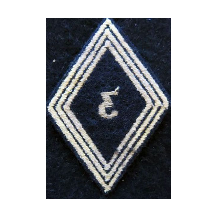 LOSANGE DE BRAS MODÈLE 45 : modèle troupe 3° régiment de chasseurs d'Afrique 1956 AFN