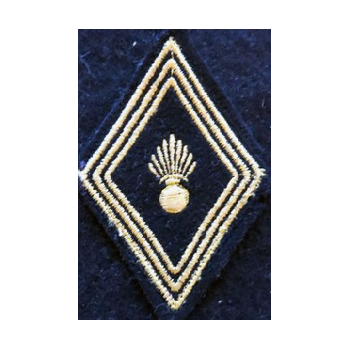 LOSANGE DE BRAS MODÈLE 45 : modèle troupe hors unités  de chasseurs d'Afrique 1957 AFN