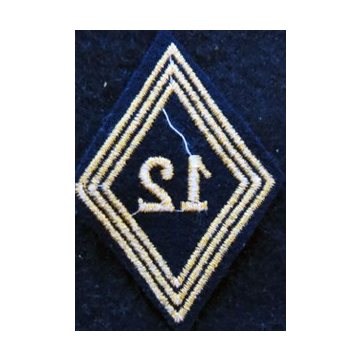 LOSANGE DE BRAS MODÈLE 45 : modèle troupe 12° régiment de chasseurs d'Afrique 1955 AFN