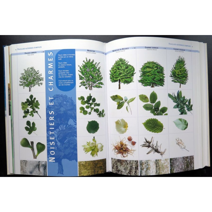 Encyclopédie visuelle des arbres et arbustes Maurice Dupérat JM Polese