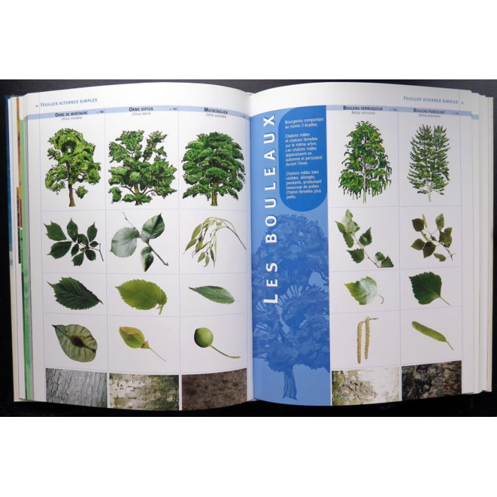 Encyclopédie visuelle des arbres et arbustes Maurice Dupérat JM Polese