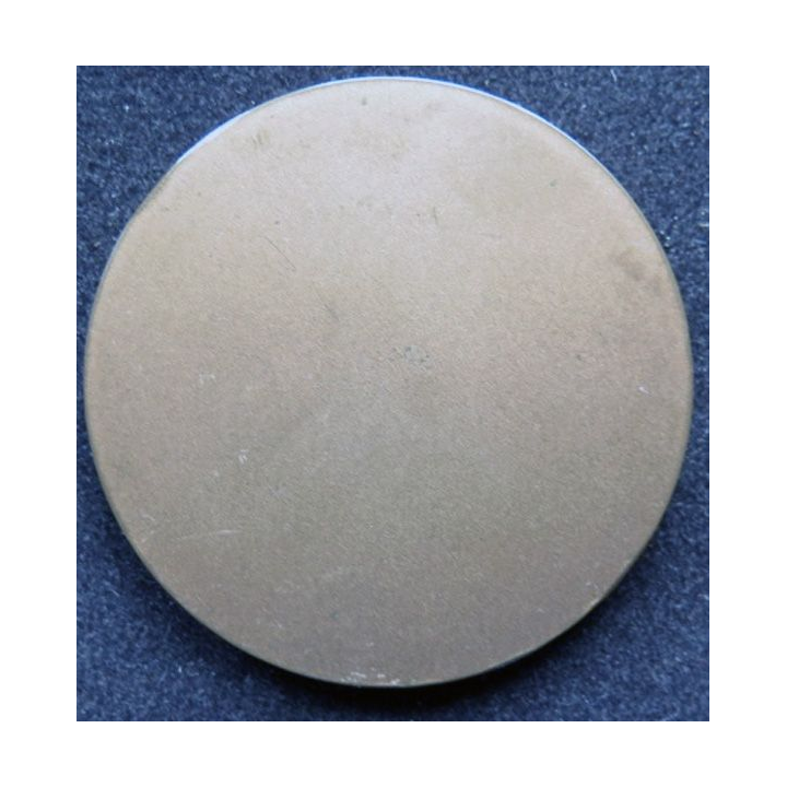 Médaille en bronze des anciens des forces françaises en Allemagne diamètre 5 cm