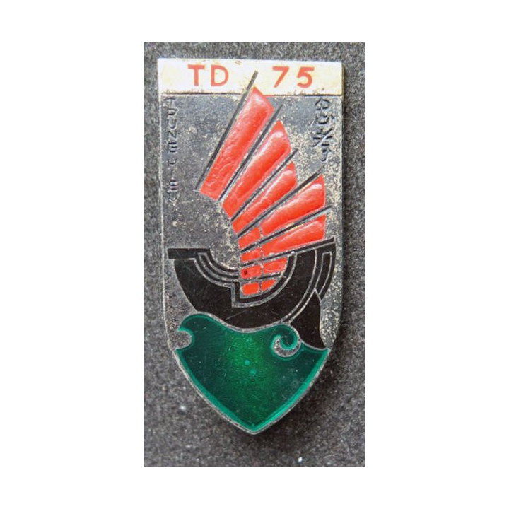 75° TD 75° Tieu Doan bataillon d'infanterie Tring Hieu Drago R 76